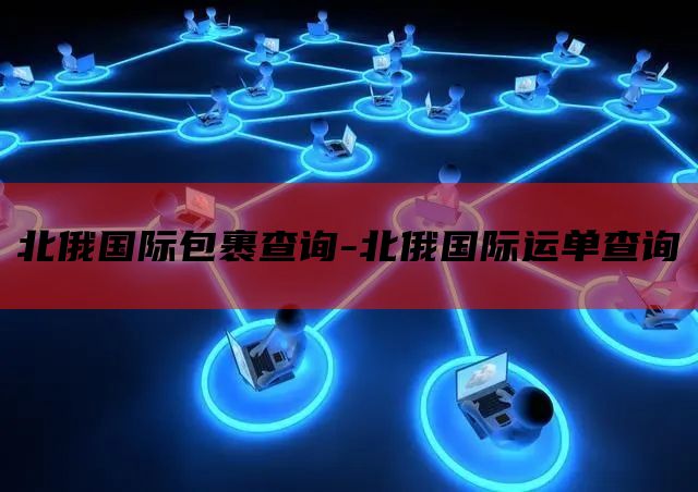 北俄国际包裹查询-北俄国际运单查询