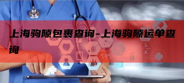 上海驹隙包裹查询-上海驹隙运单查询