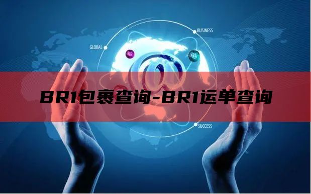 BR1包裹查询-BR1运单查询