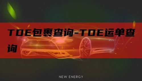 TDE包裹查询-TDE运单查询