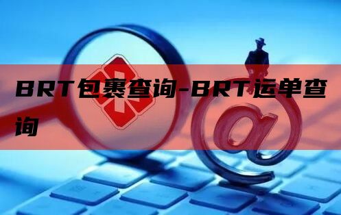 BRT包裹查询-BRT运单查询