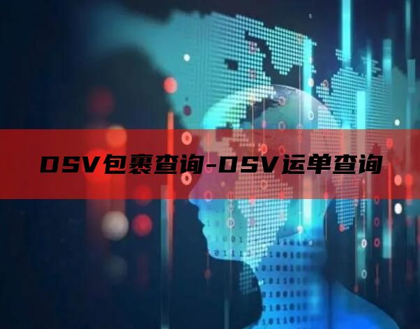 DSV包裹查询-DSV运单查询