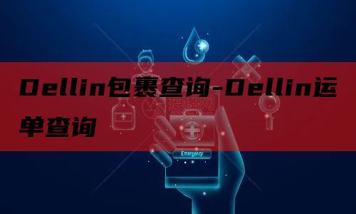 Dellin包裹查询-Dellin运单查询