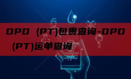 DPD (PT)包裹查询-DPD (PT)运单查询