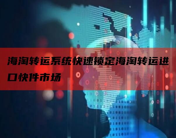 海淘转运系统快速锁定海淘转运进口快件市场
