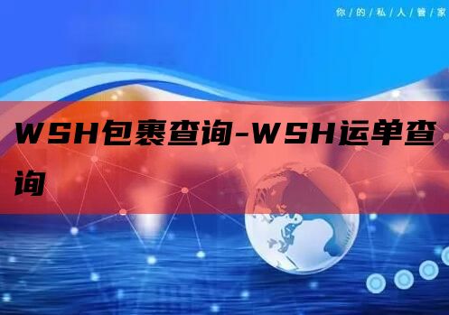 WSH包裹查询-WSH运单查询