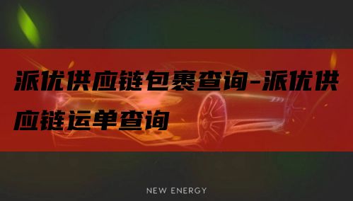 派优供应链包裹查询-派优供应链运单查询
