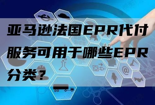 亚马逊法国EPR代付服务可用于哪些EPR分类？