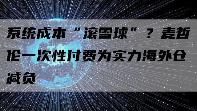 系统成本“滚雪球”？麦哲伦一次性付费为实力海外仓减负