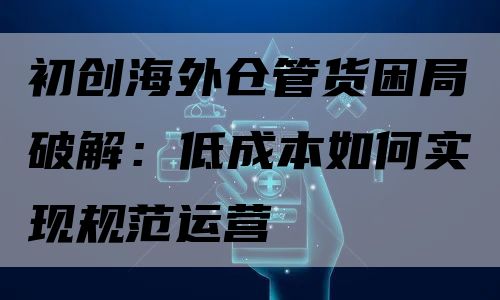 初创海外仓管货困局破解：低成本如何实现规范运营