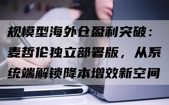 规模型海外仓盈利突破：麦哲伦独立部署版，从系统端解锁降本增效新空间