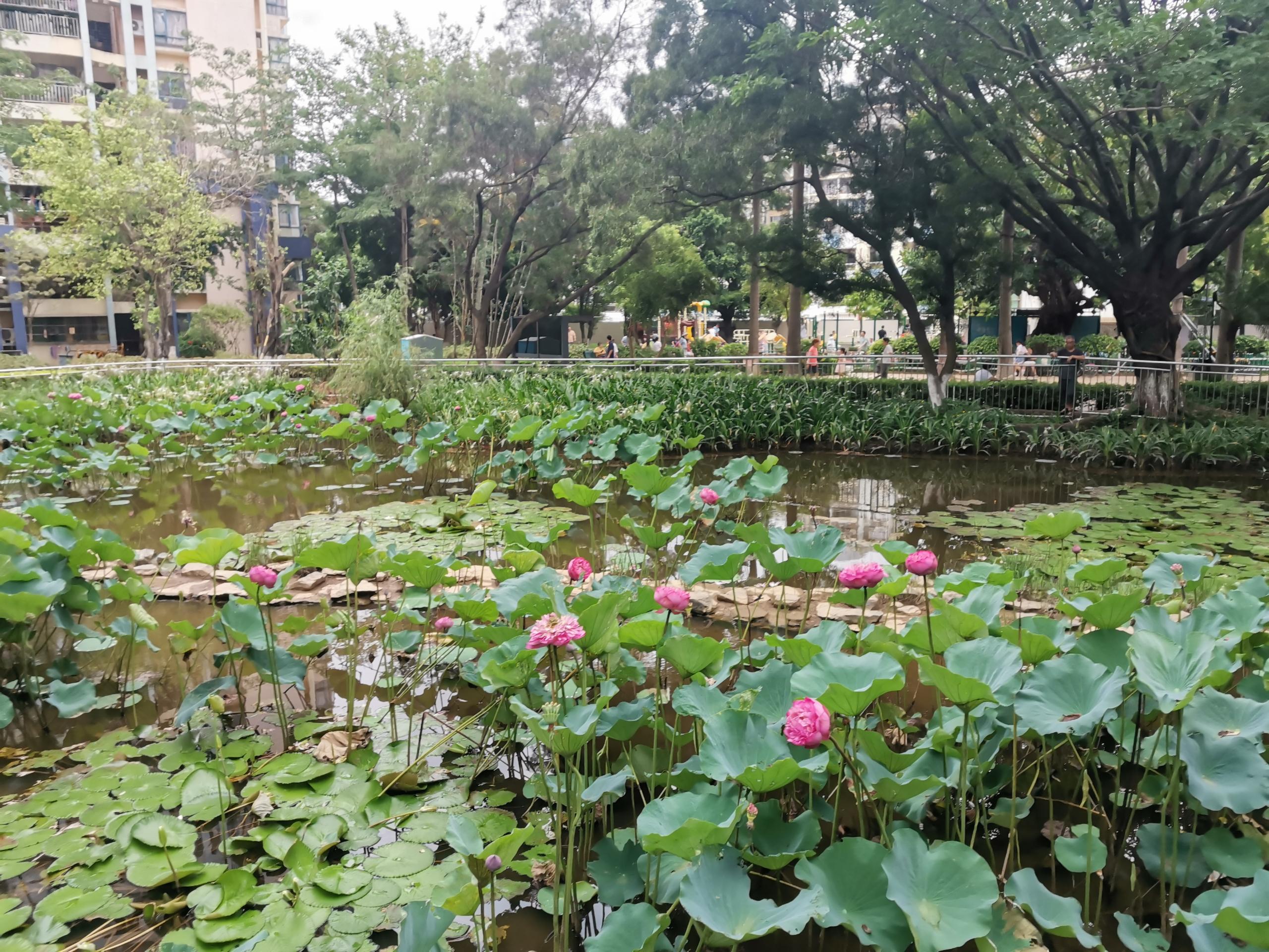 香港回归25周年 香港邮政发行主题纪念邮票