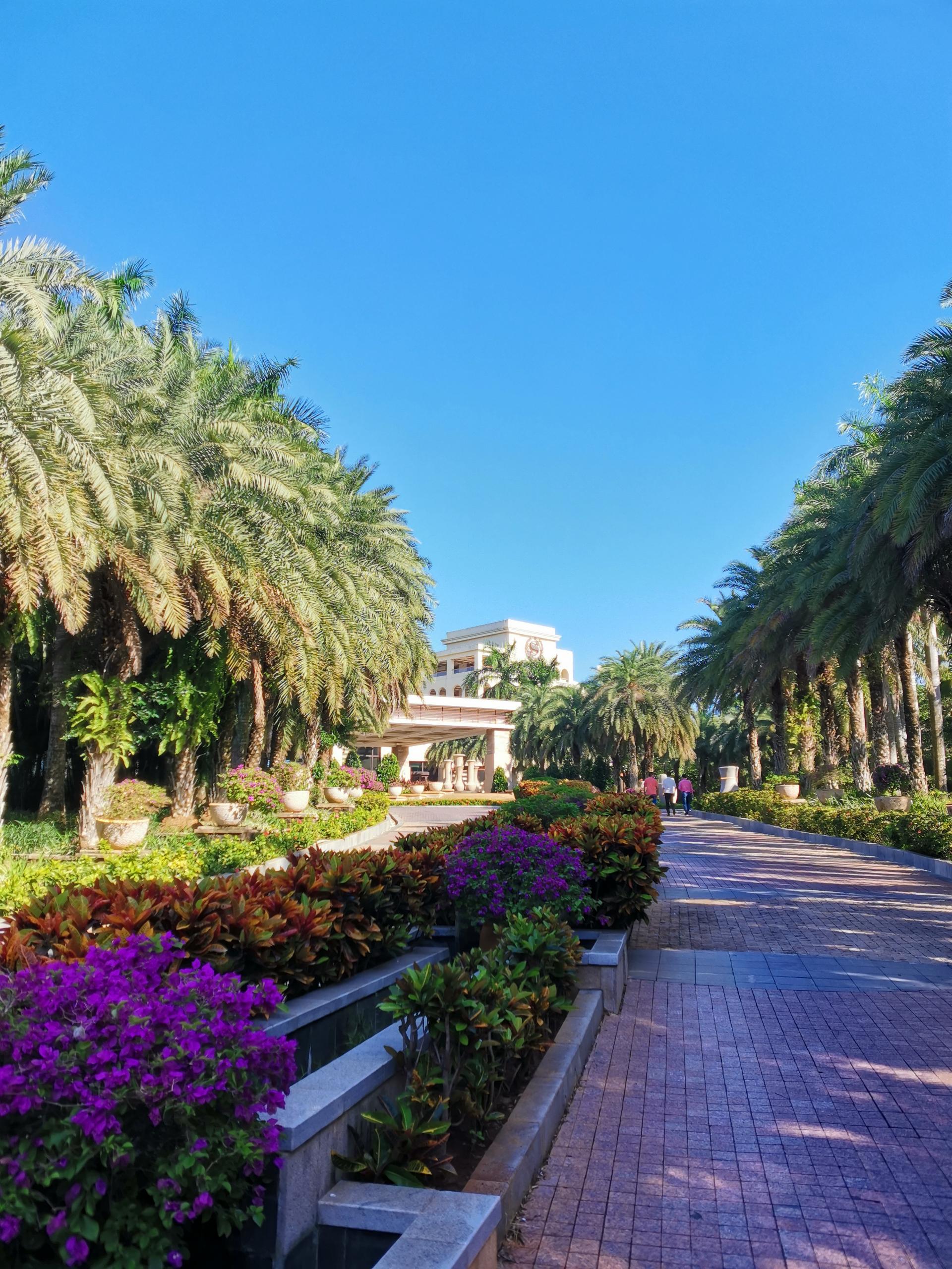 捷克布拉格成为货运自行车一体化试点城市