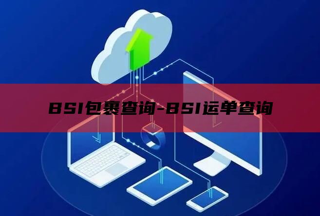 BSI包裹查询-BSI运单查询