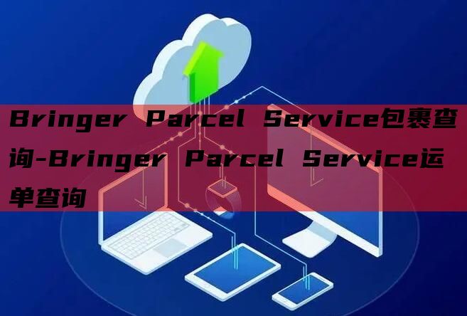 Bringer Parcel Service包裹查询-Bringer Parcel Service运单查询