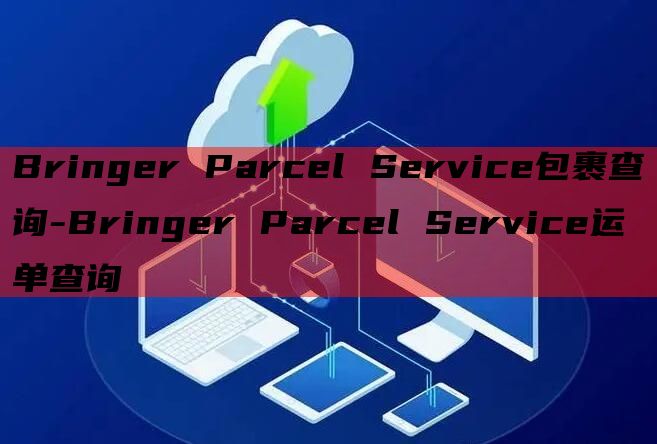 Bringer Parcel Service包裹查询-Bri