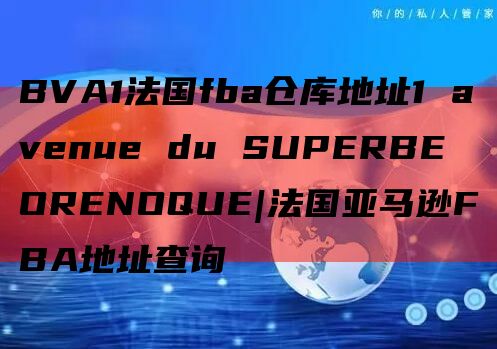 BVA1法国fba仓库地址1 avenue du SUPERBE ORENOQUE|法国亚马逊FBA地址查询