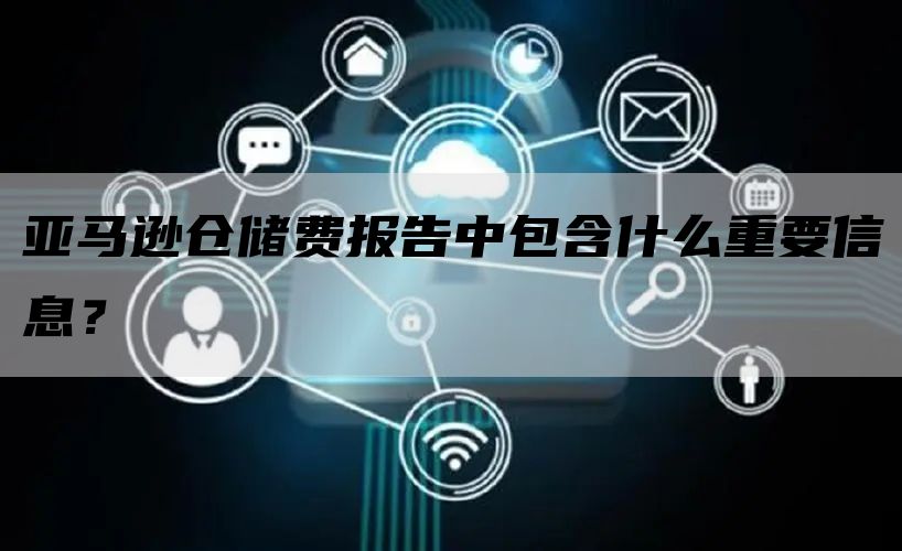 亚马逊仓储费报告中包含什么重要信息？