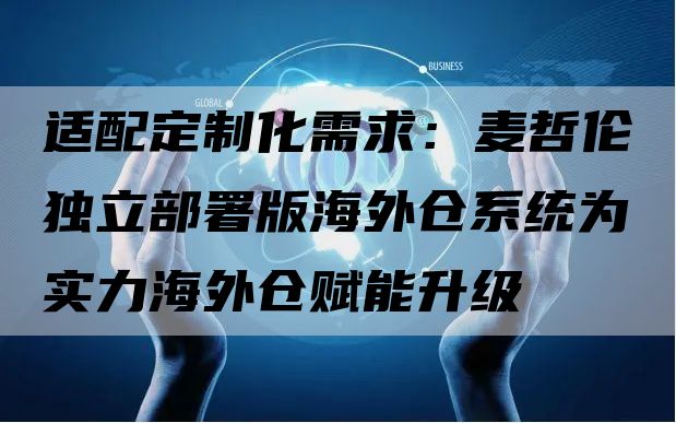 适配定制化需求：麦哲伦独立部署版海外仓系统为实力海外仓赋能升级